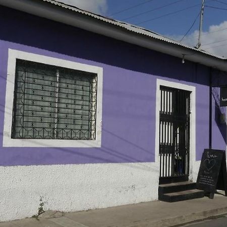 Luna International Hostel Эстели Экстерьер фото