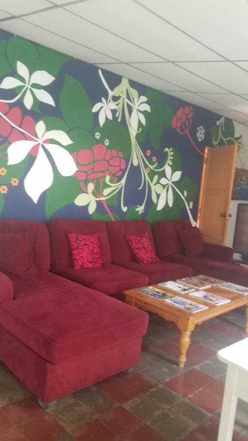Luna International Hostel Эстели Экстерьер фото